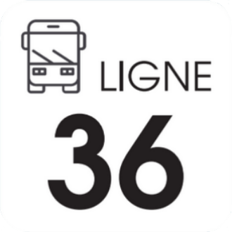 36