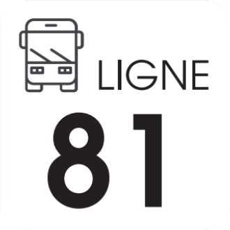 81