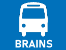 Navette Brains