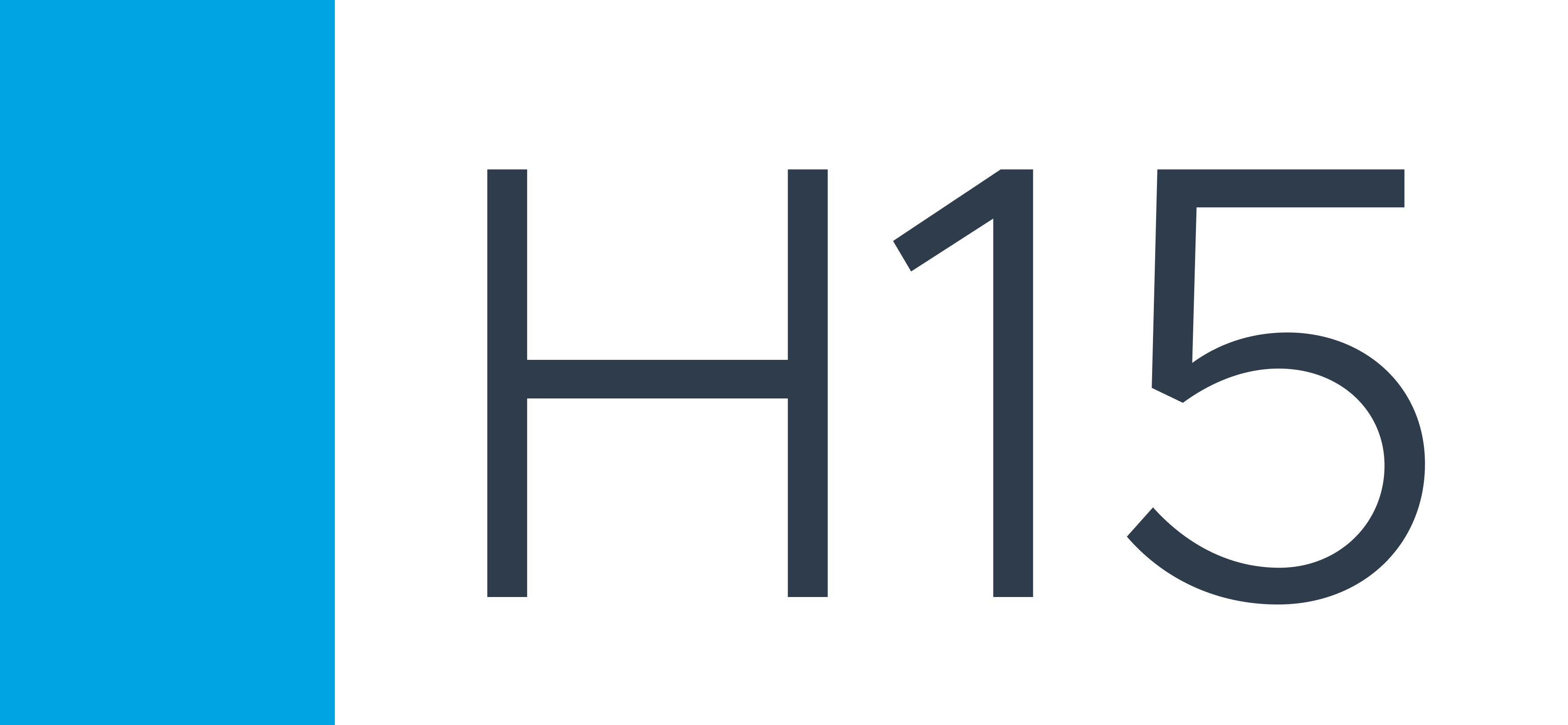 H15