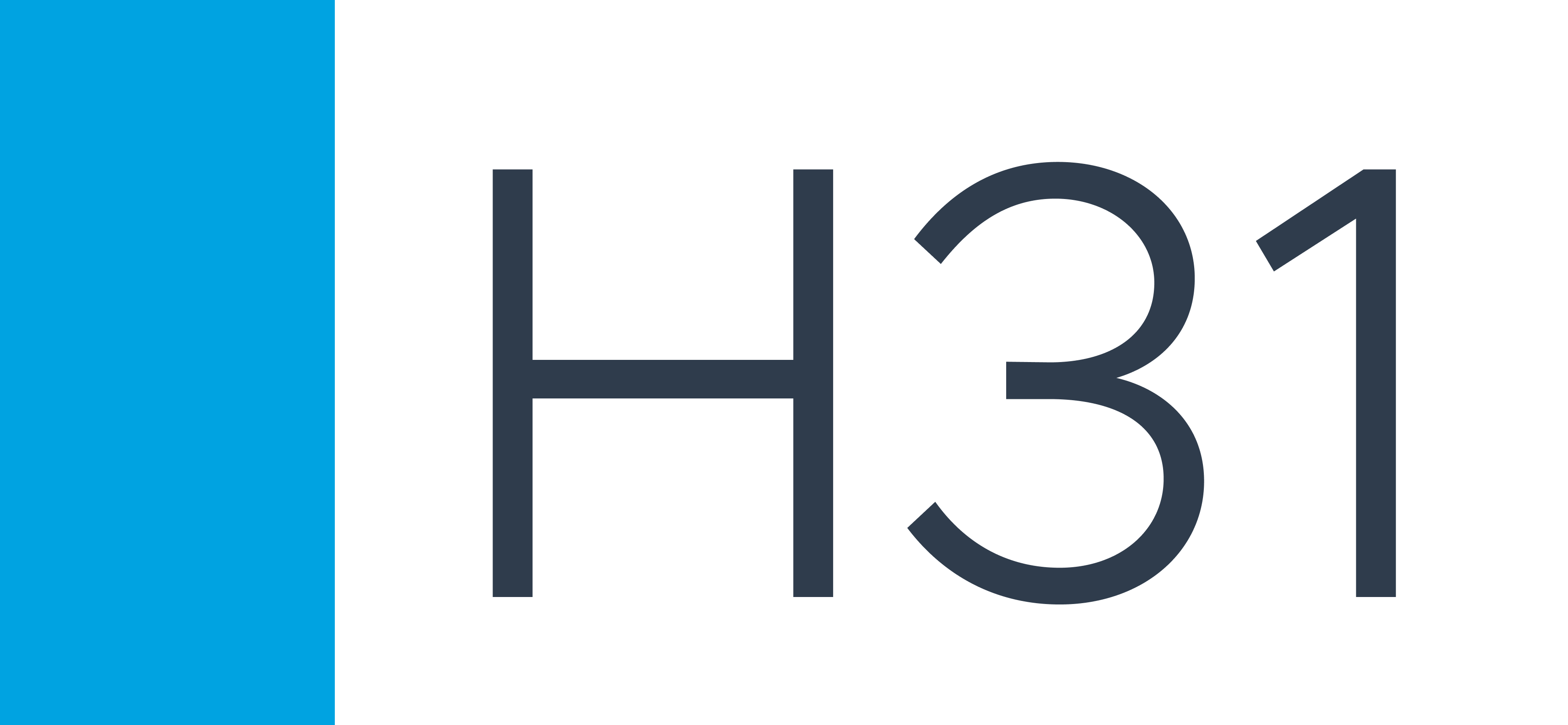 H31