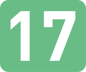 17