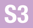 S3
