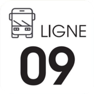 09