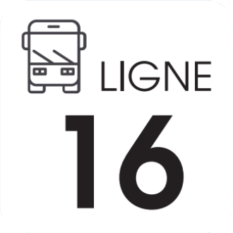 16