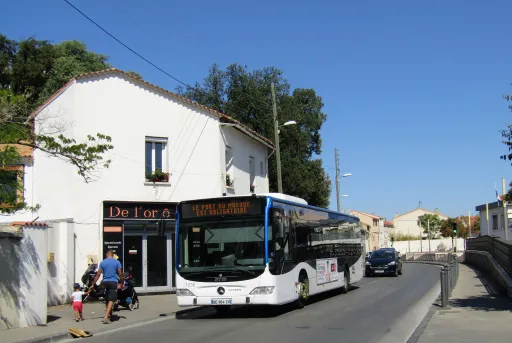 Image du véhicule