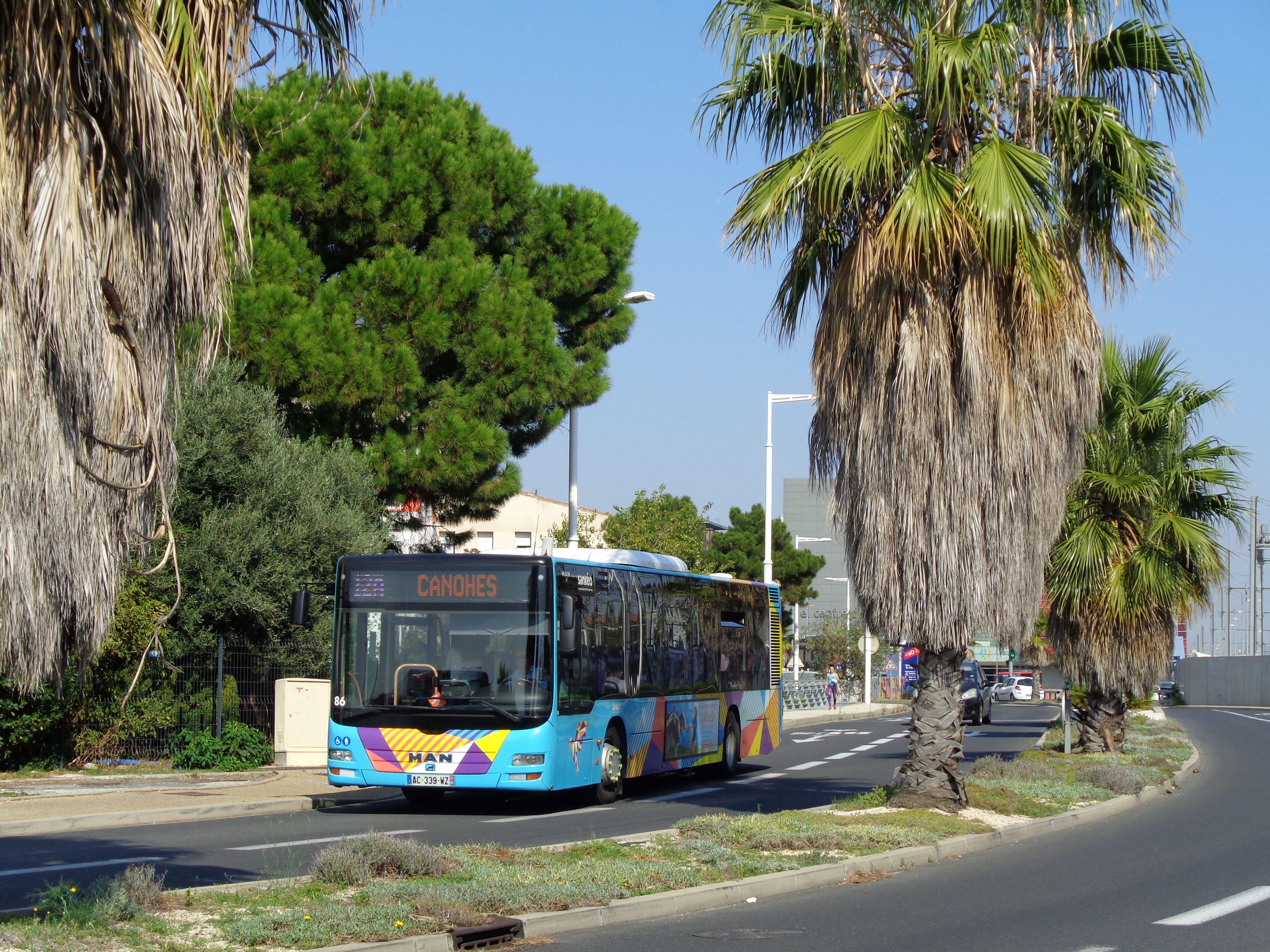 Image du véhicule
