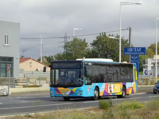 Image du véhicule