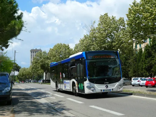Image du véhicule