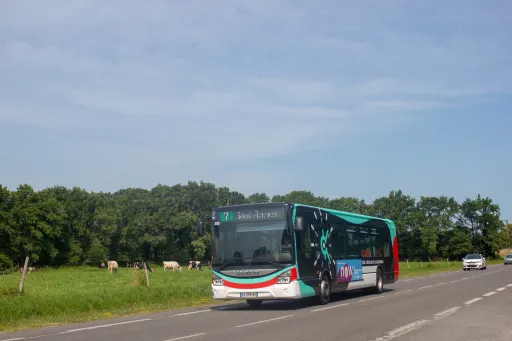 Image du véhicule