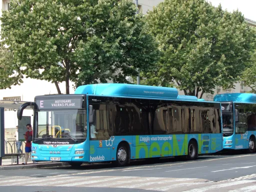 Image du véhicule