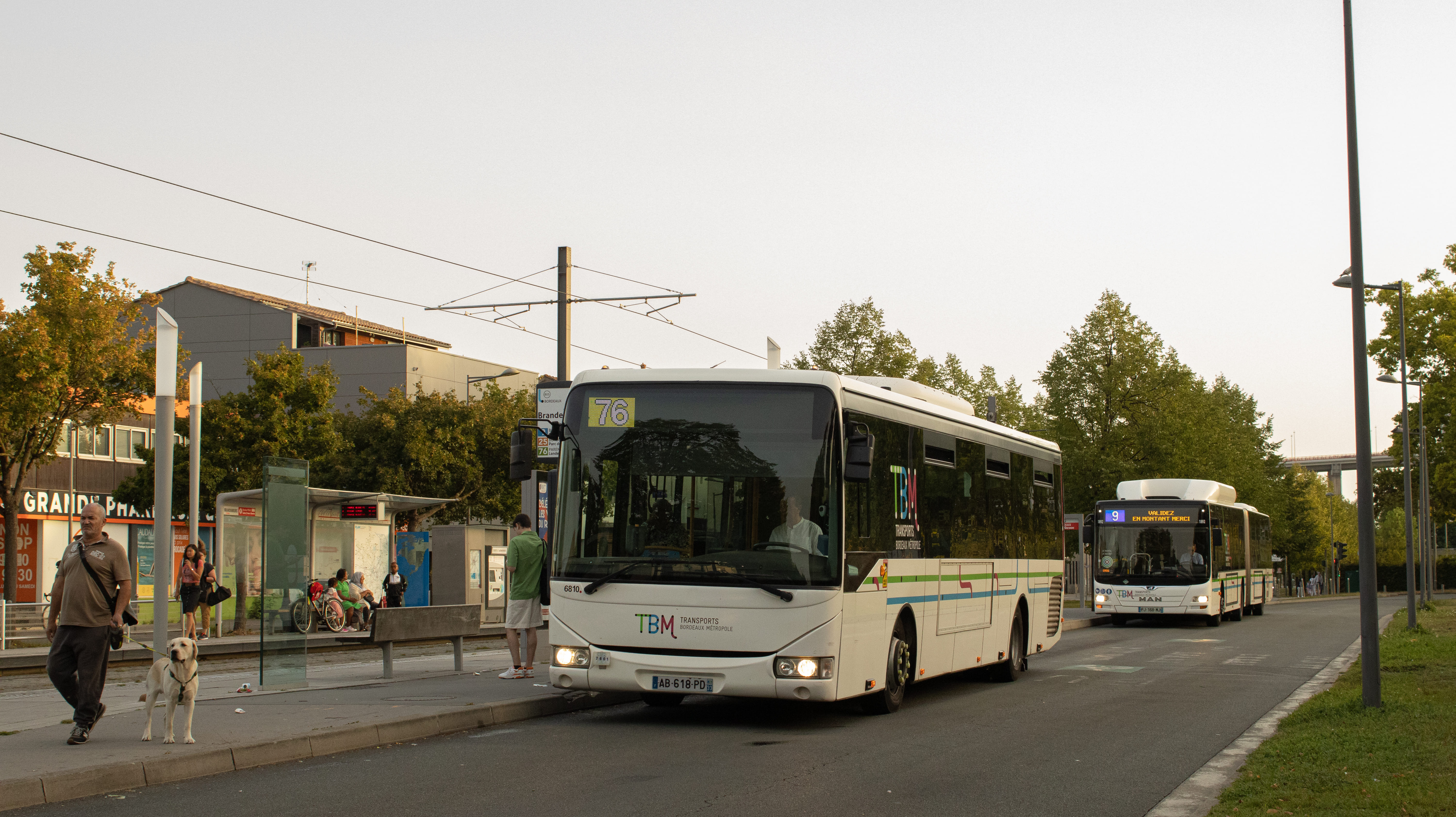 Image du véhicule