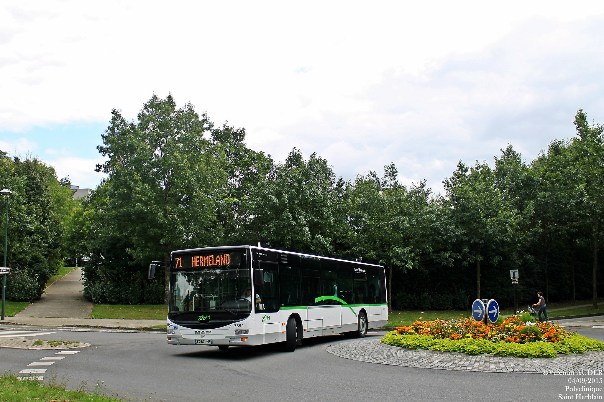 Image du véhicule
