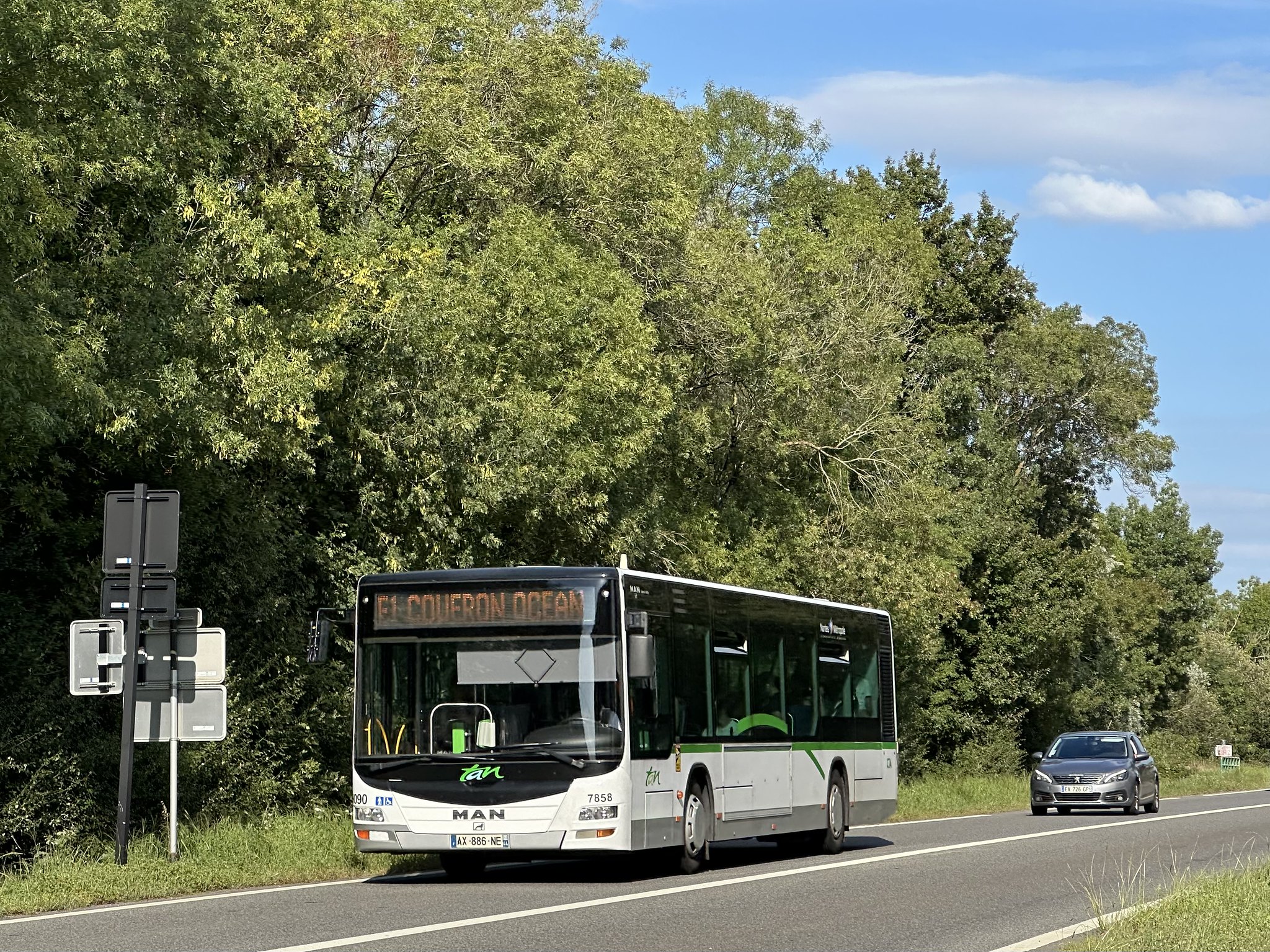 Image du véhicule