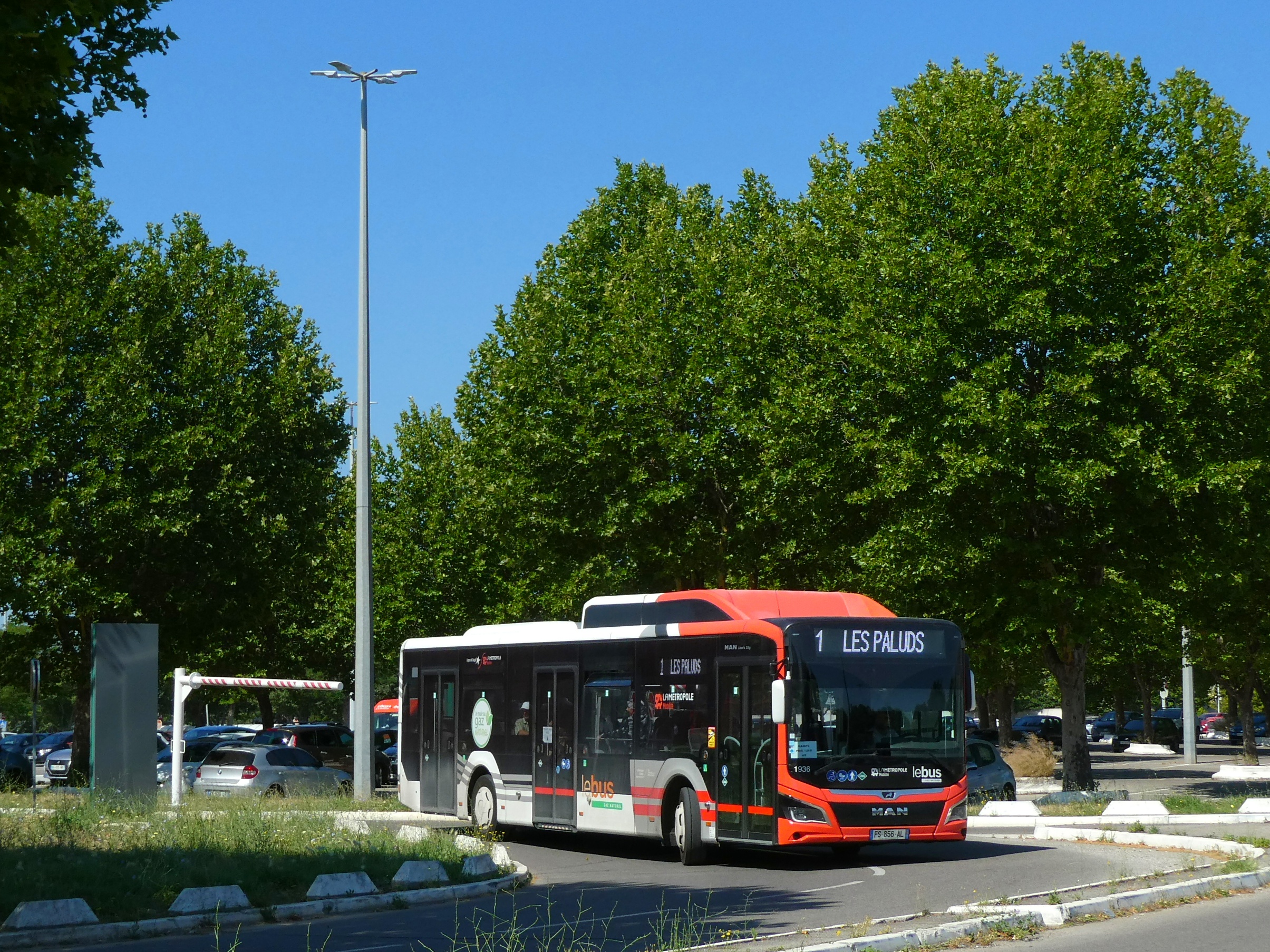 Image du véhicule