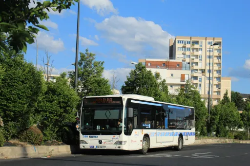 Image du véhicule