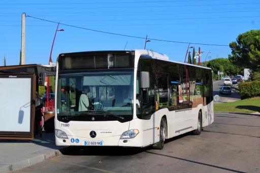 Image du véhicule