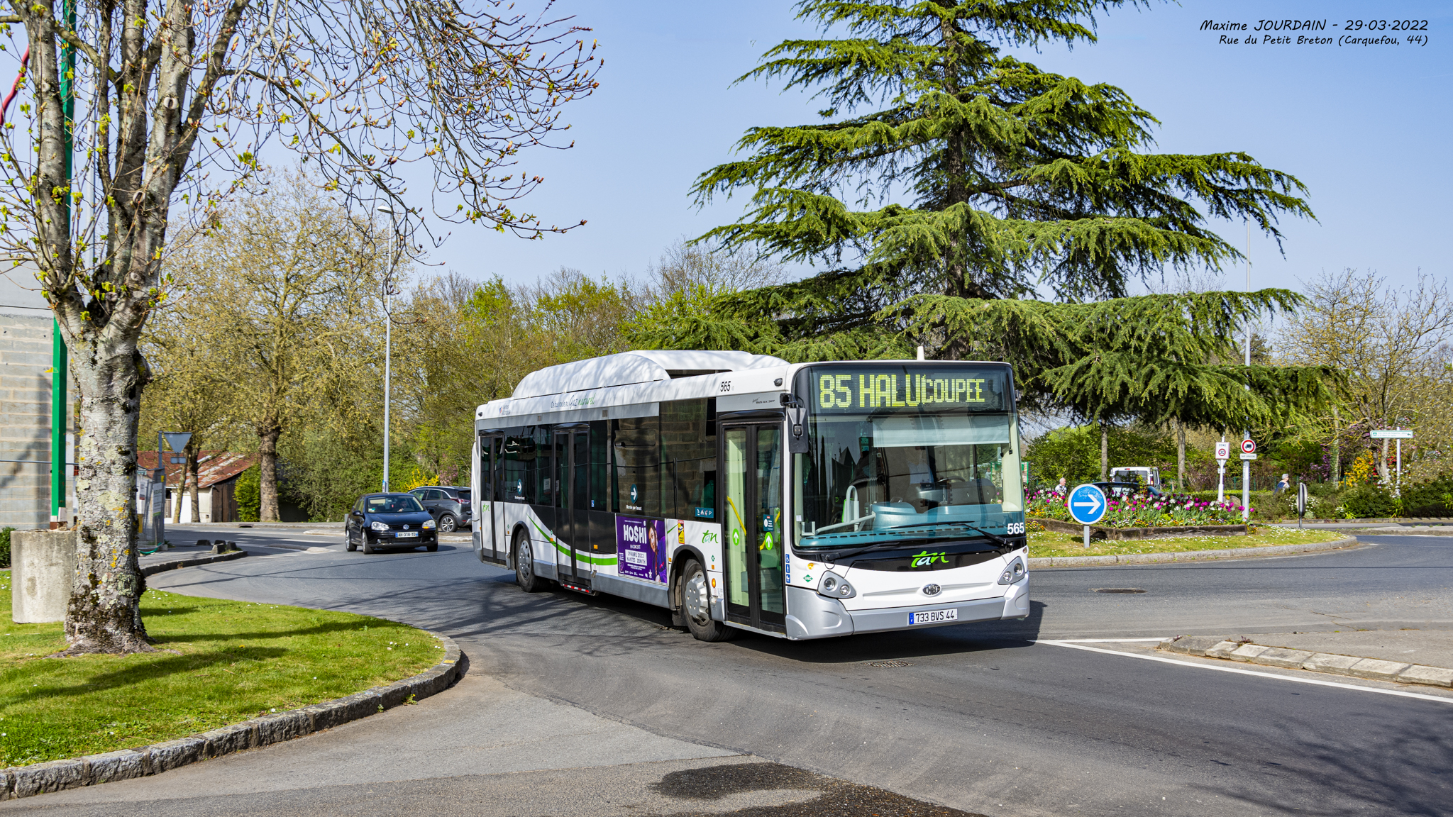 Image du véhicule
