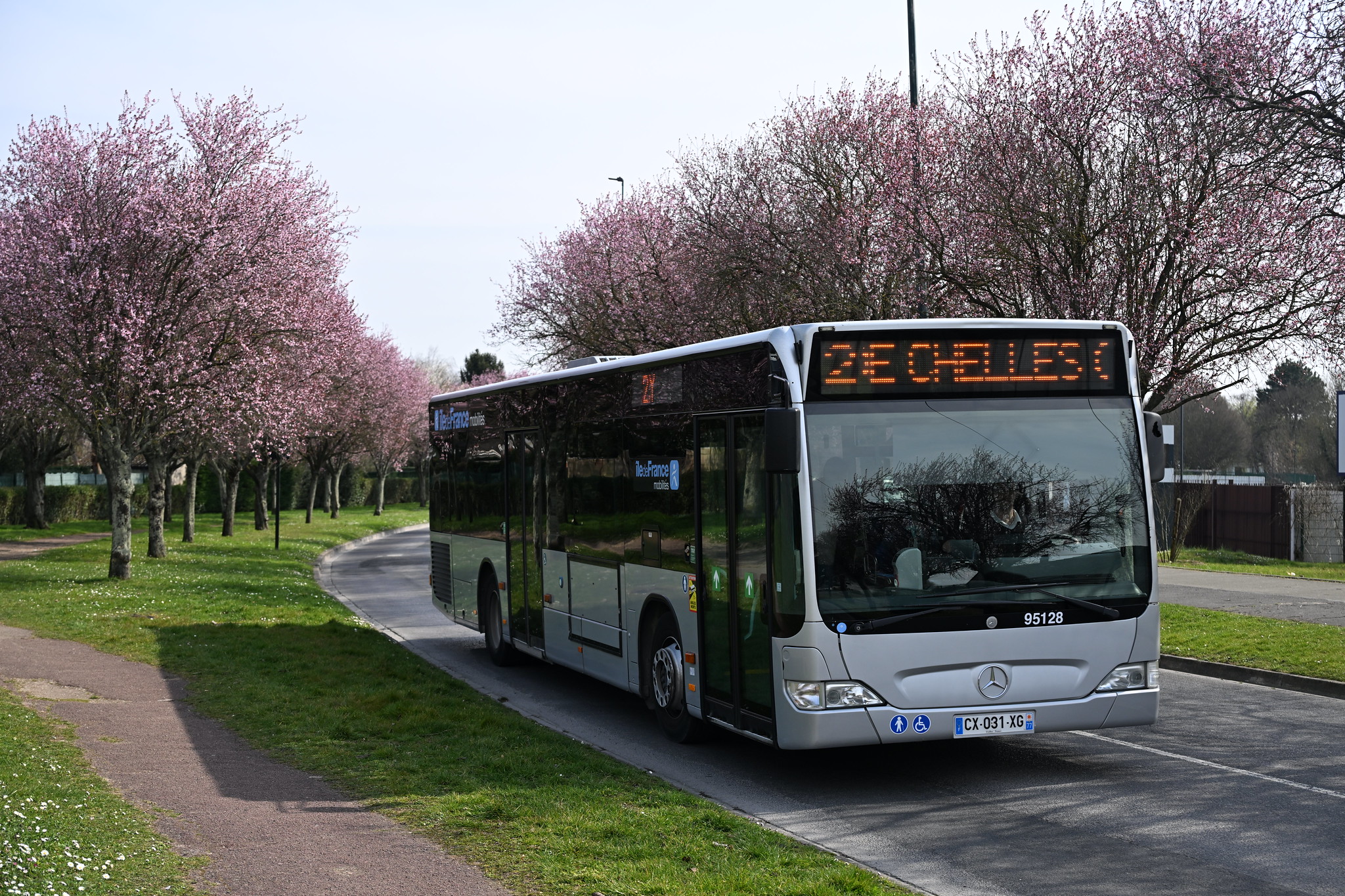Image du véhicule