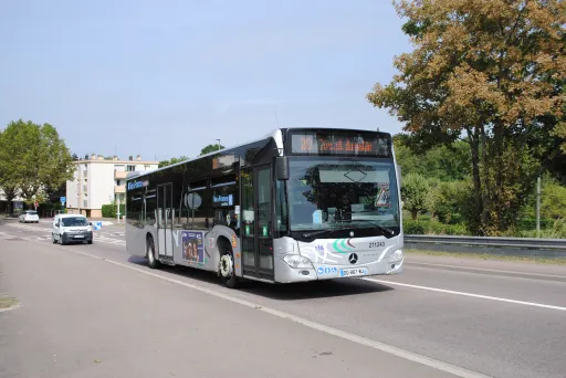 Image du véhicule