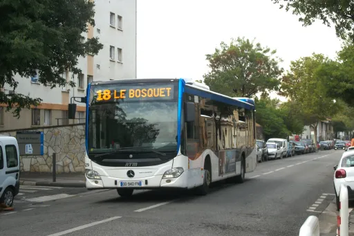 Image du véhicule