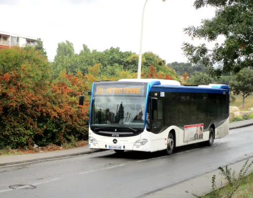 Image du véhicule