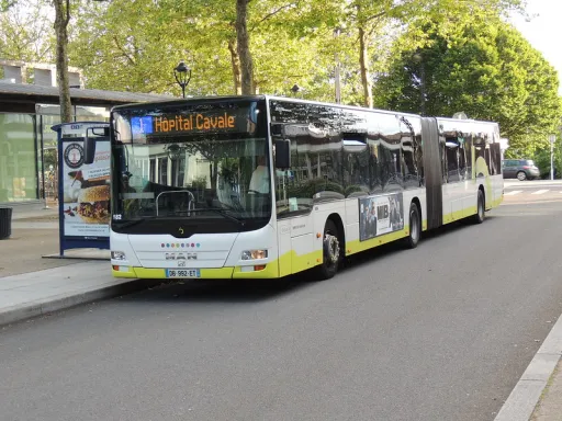 Image du véhicule