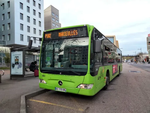 Image du véhicule