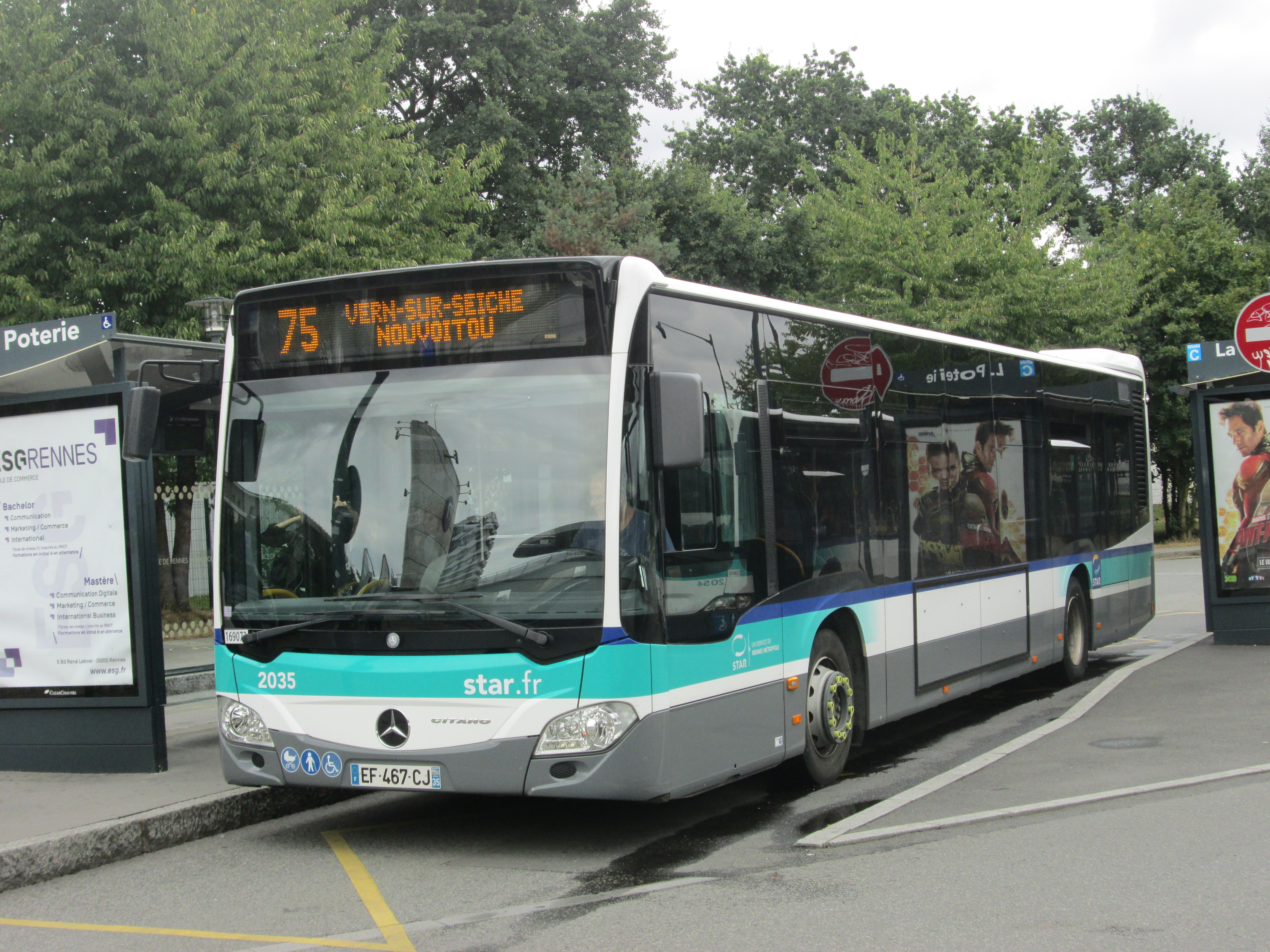 Image du véhicule