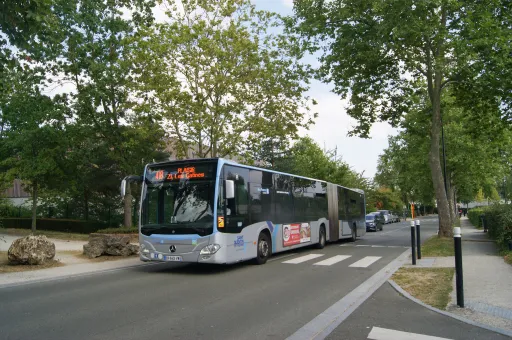 Image du véhicule