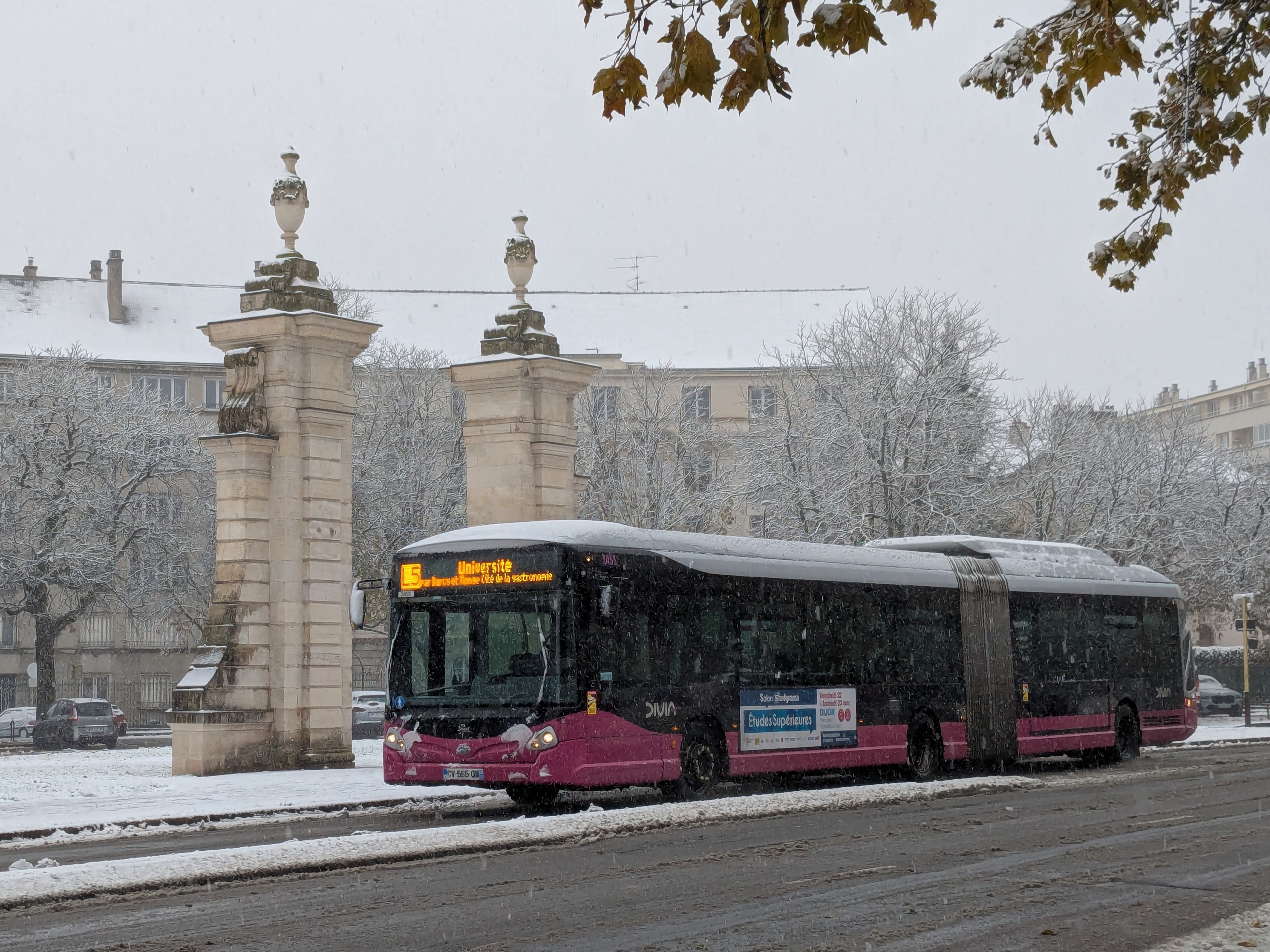 Image du véhicule