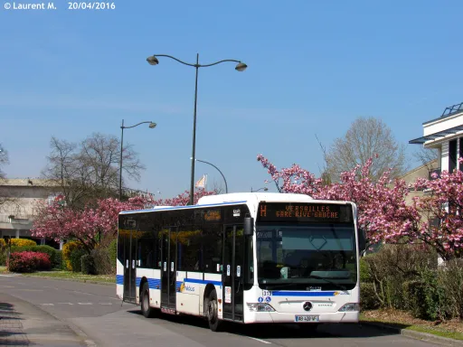 Image du véhicule