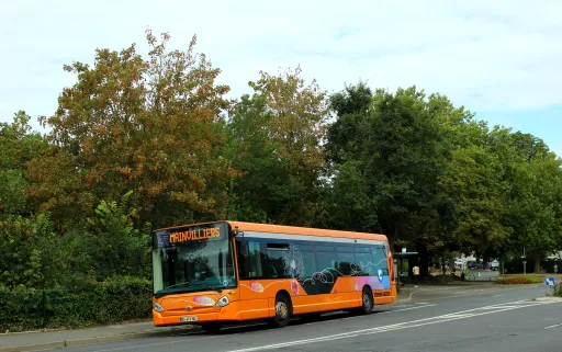 Image du véhicule