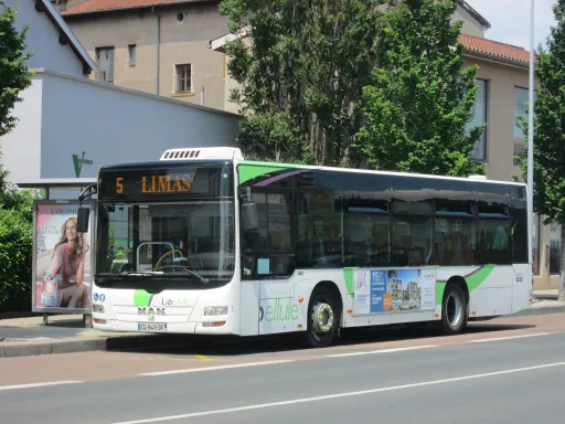 Image du véhicule