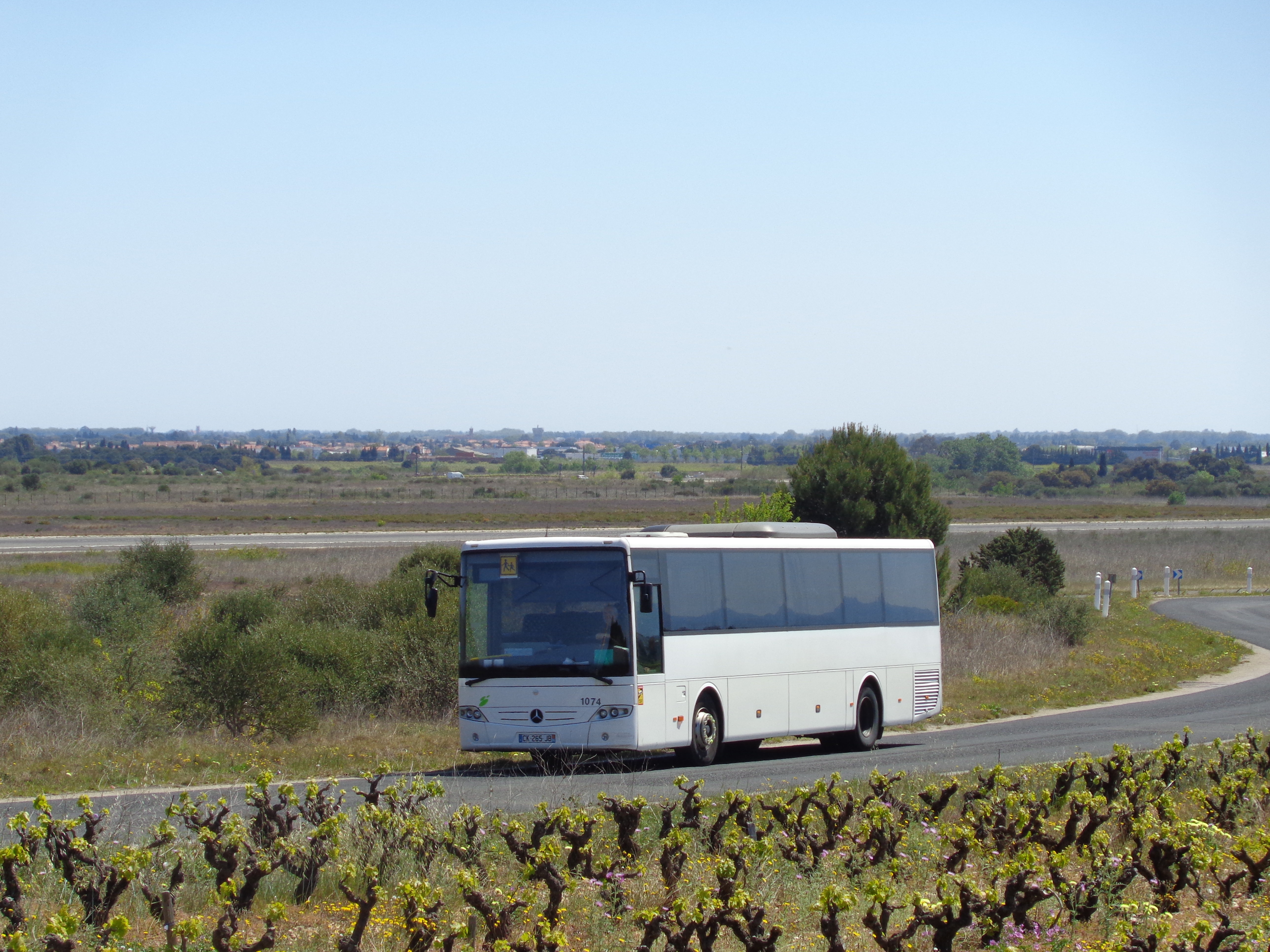 Image du véhicule
