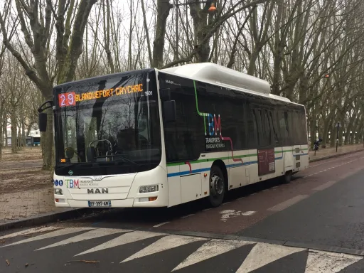 Image du véhicule