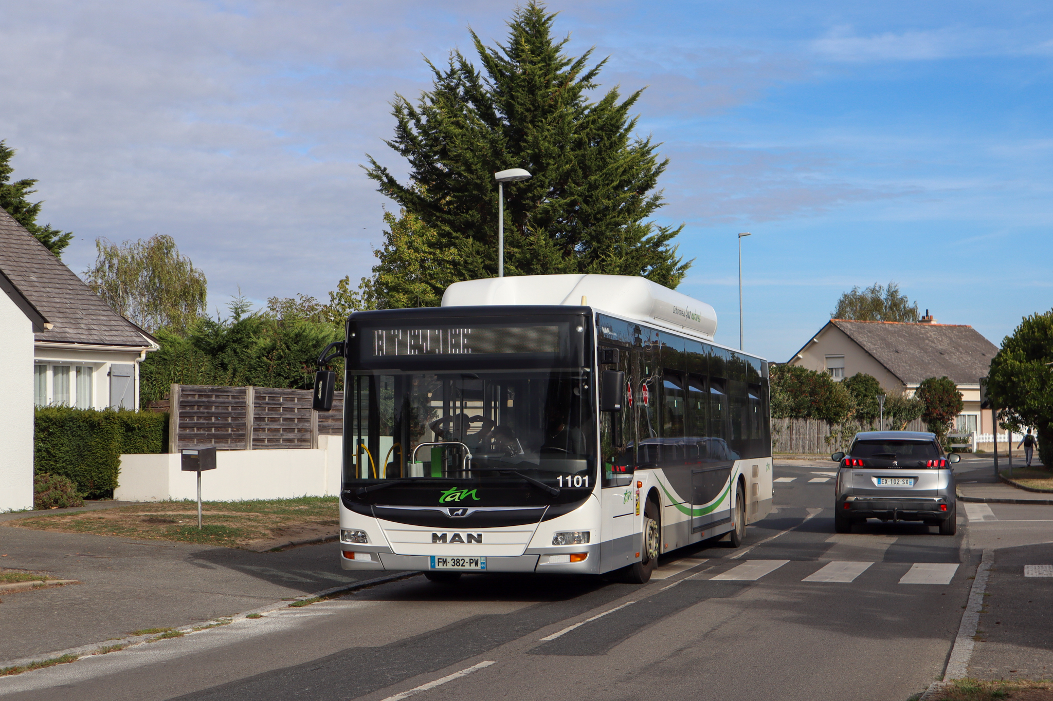 Image du véhicule