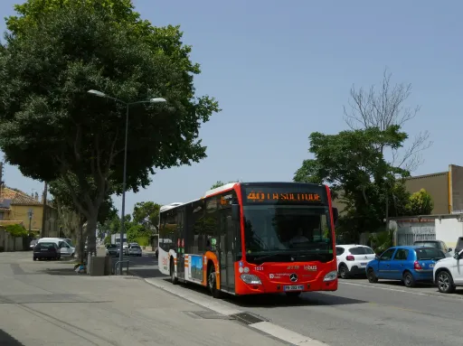 Image du véhicule