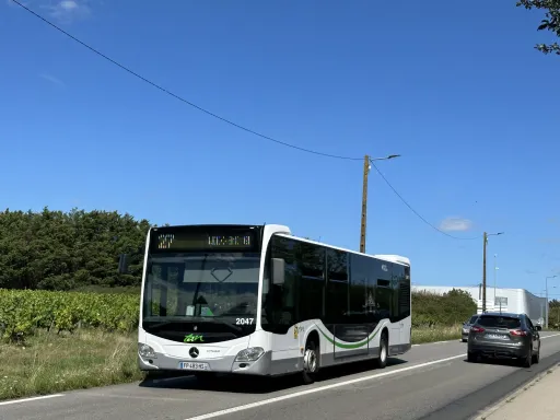 Image du véhicule