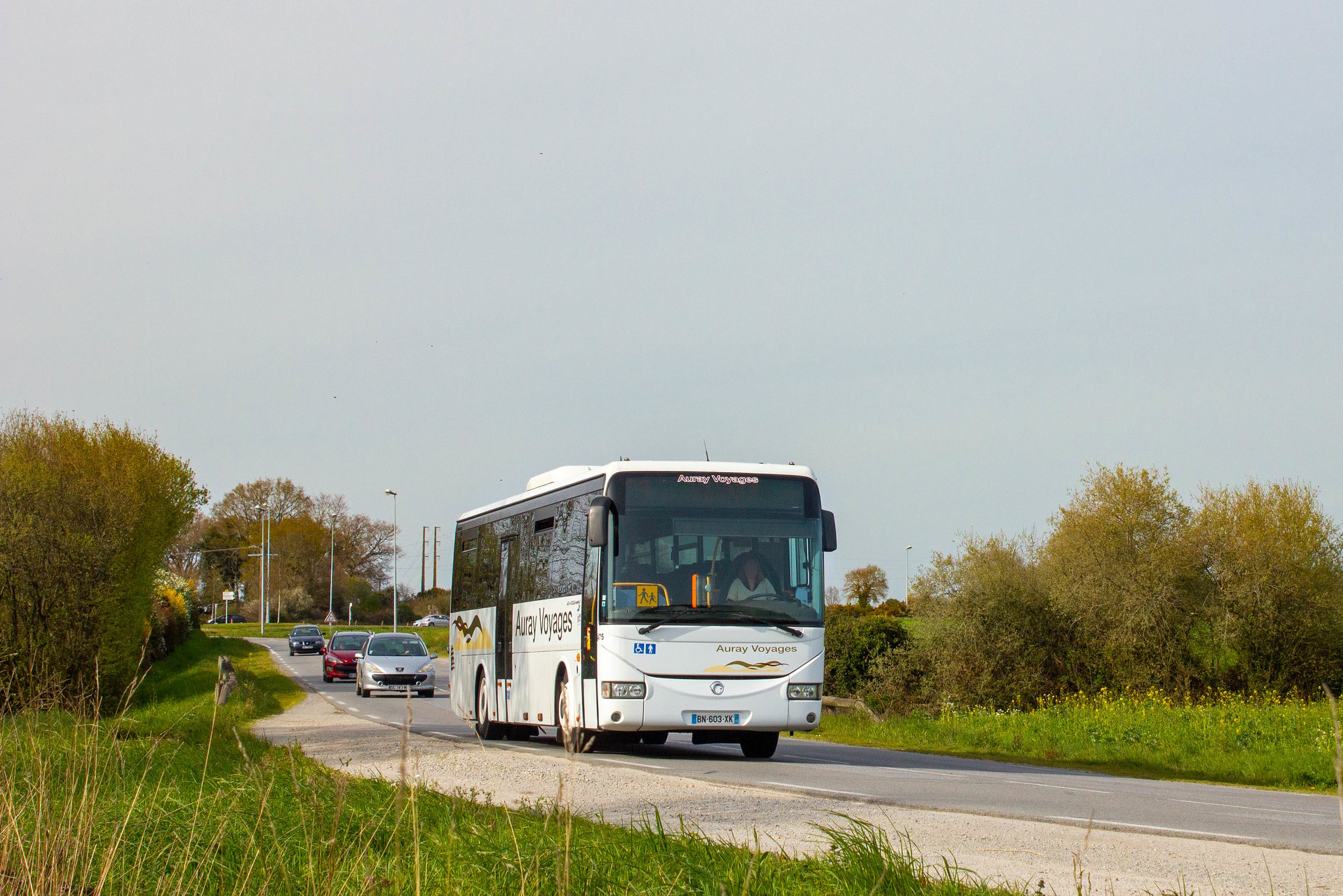 Image du véhicule