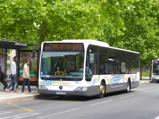 Image du véhicule