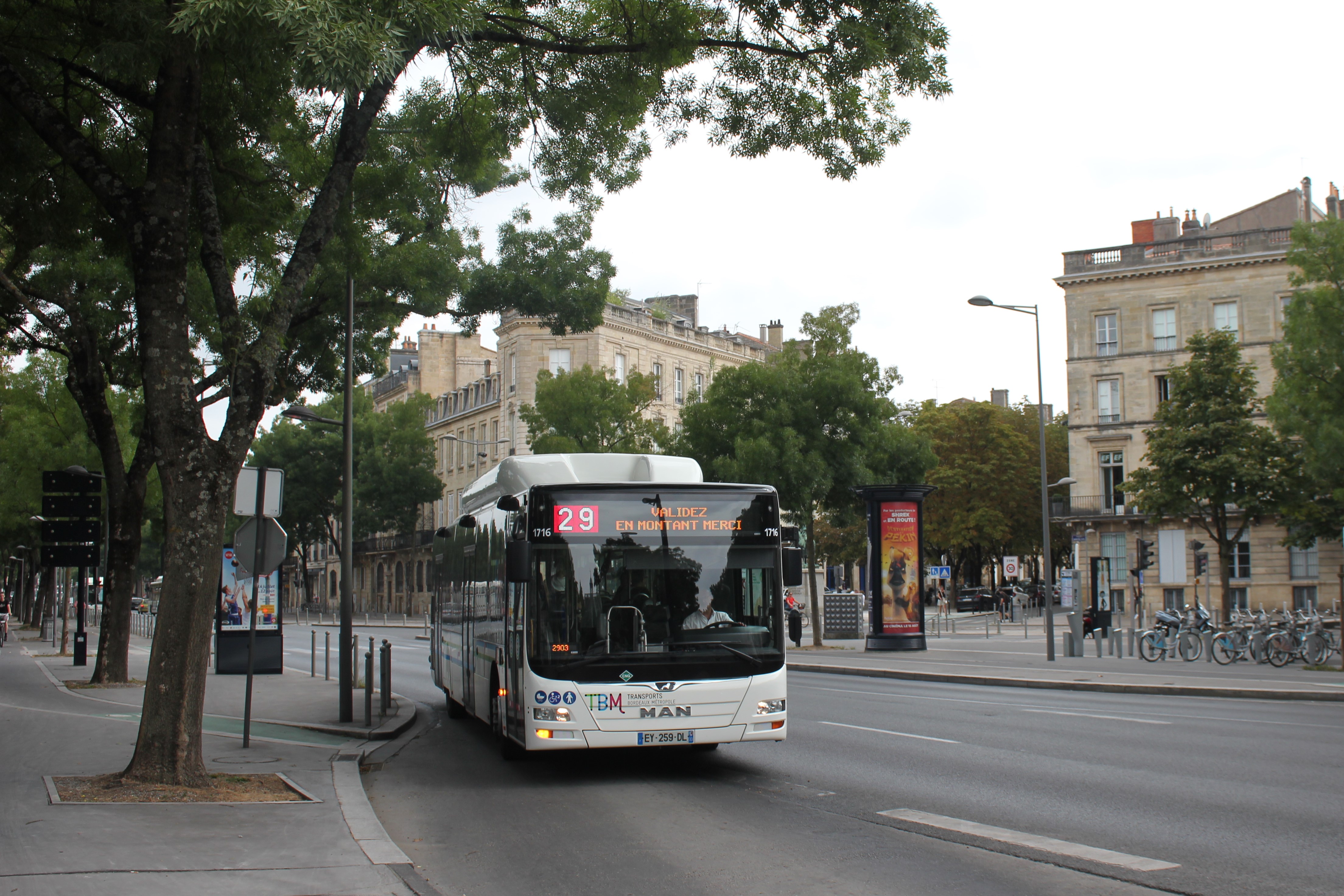 Image du véhicule