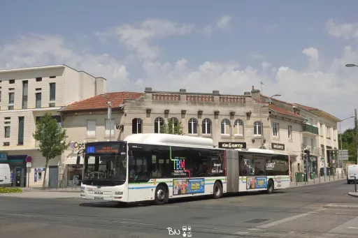 Image du véhicule